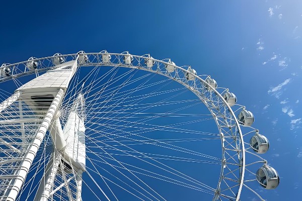 Slewing bearing for Ferris Wheel